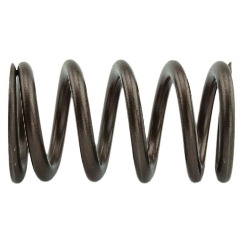 Industrial Injection Dodge Performance Valve Springs For 1998.5-2018 Cummins 24 Valve 95 LB - PDM-160-1484S-24
