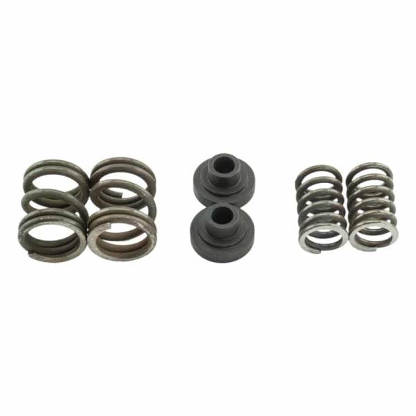 Industrial Injection - Industrial Injection Dodge Governor Springs For 94-98 5.9L Cummins 3000 RPM - 232614