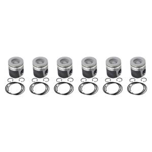 Industrial Injection Dodge Pistons For 89-98 Cummins 12 Valve Stock .020 Over - PDM-03513.020